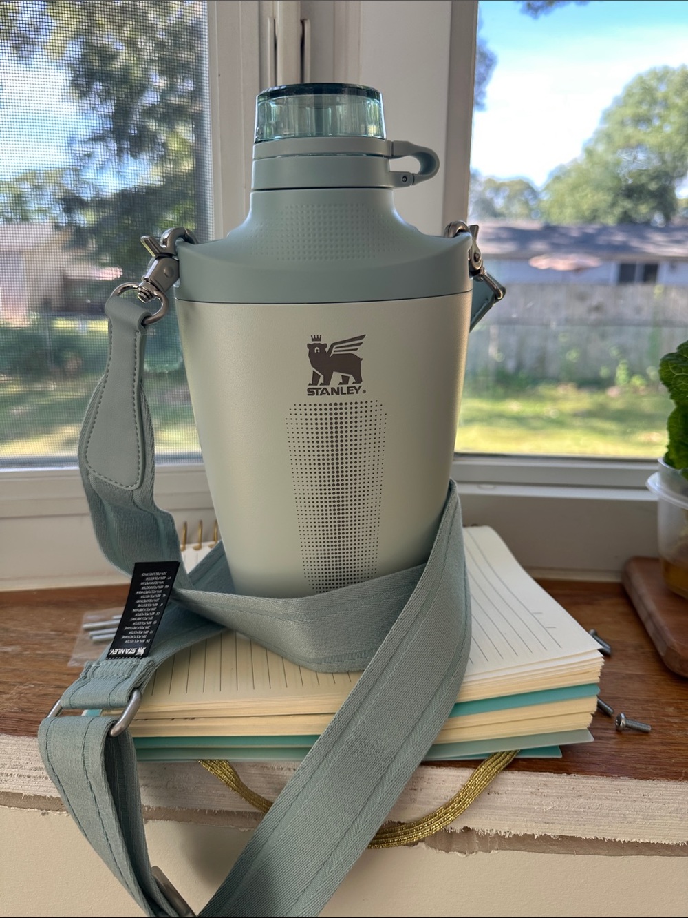 Stanley Sage Green & Light Blue Insulated Bottle with Adjustable Strap